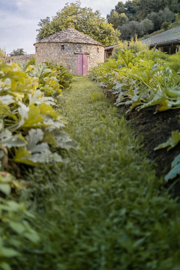 Agriturismo La Derta Villa Bellagio Exterior photo